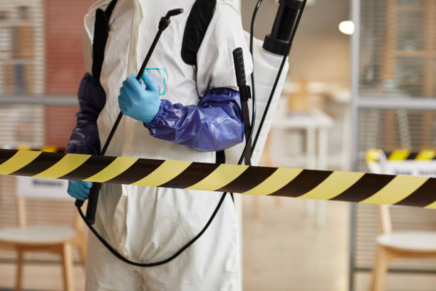 Professional Hoarding Cleanup technician working in Aurora, UT